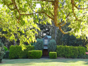 Отель Gracehill Accommodation  Олинда
